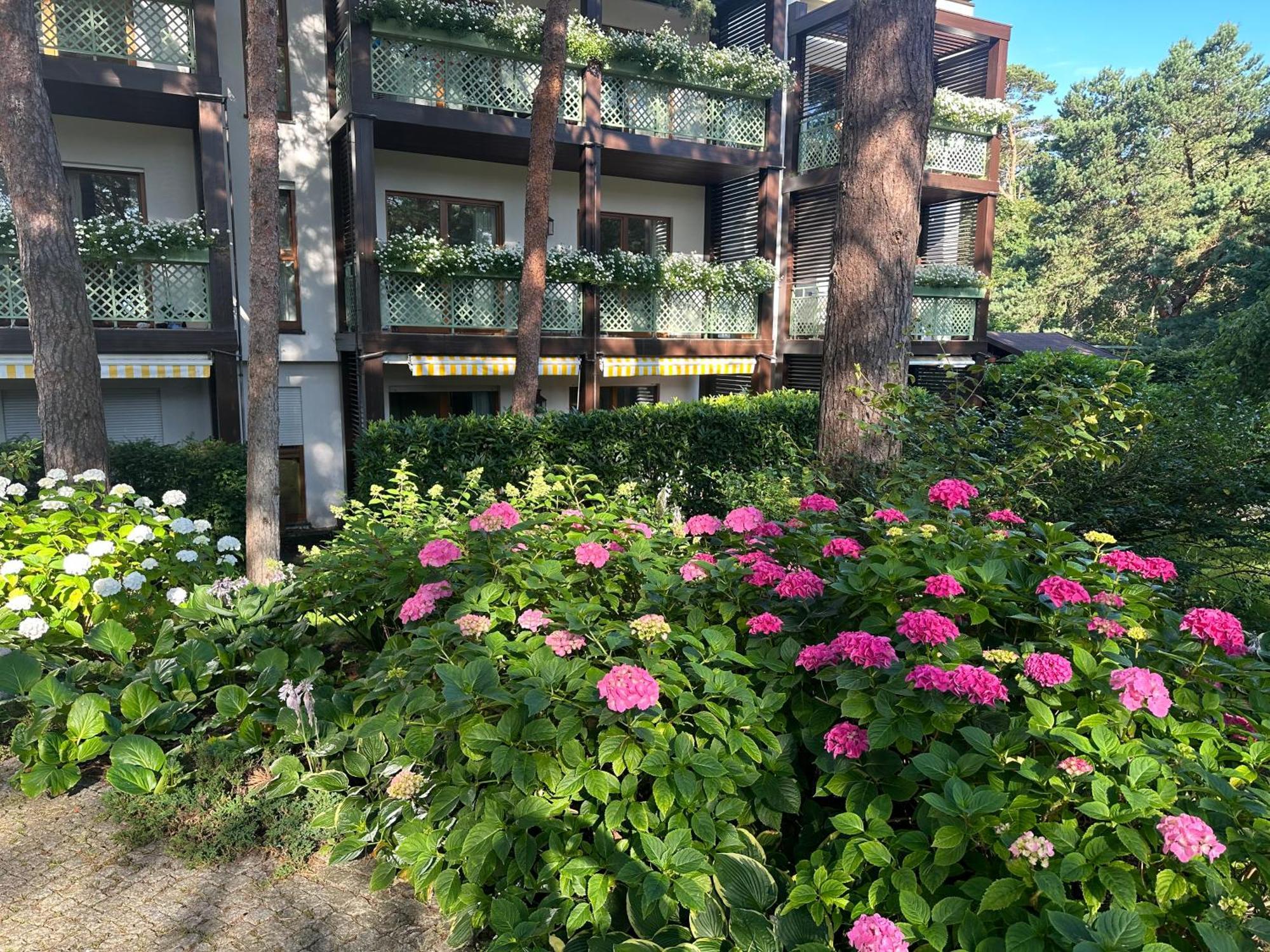 Apartament Bryza - Szczesliwa Dziewiatka Jurata Esterno foto